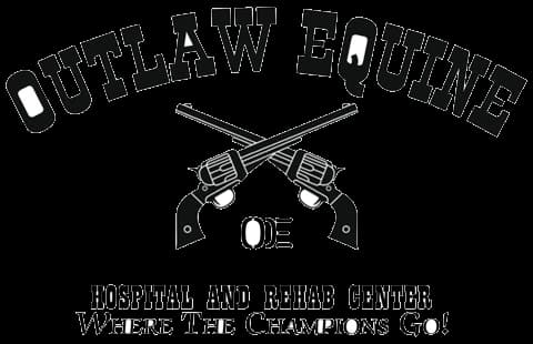Outlaw Equine