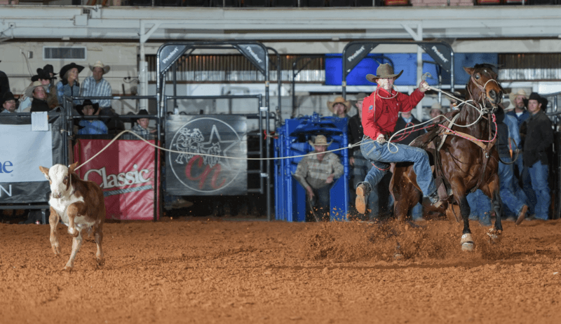 Cowboy on horseback swings a lasso while chasing a steer during a rodeo roping event in an indoor arena