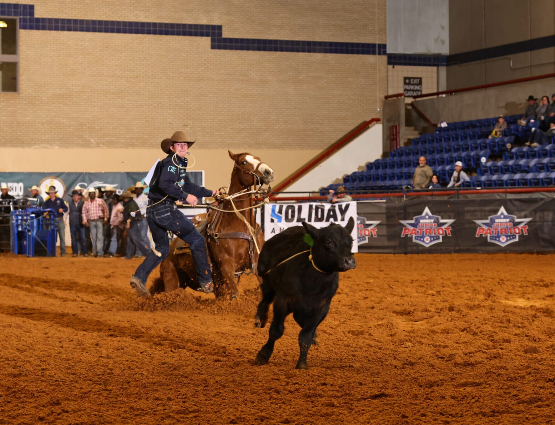 Cowboy on horseback roping a black steer during indoor rodeo competition at Holiday event arena