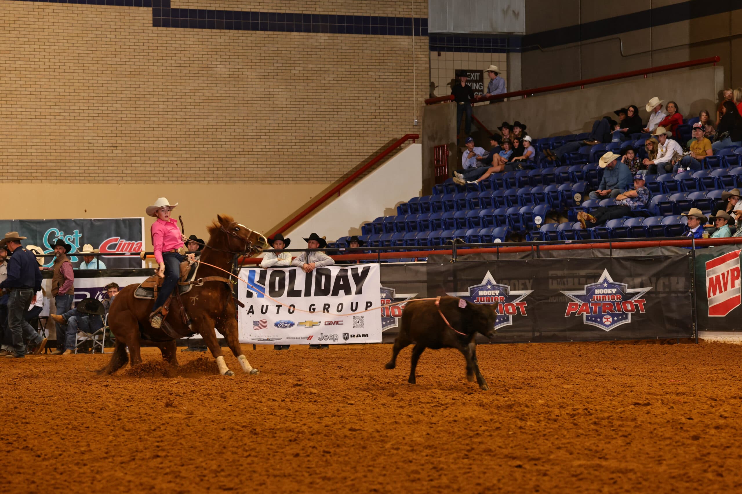 Cowgirl in pink shirt on brown horse chasing black calf during junior rodeo event at indoor arena with Holiday Auto Group signage