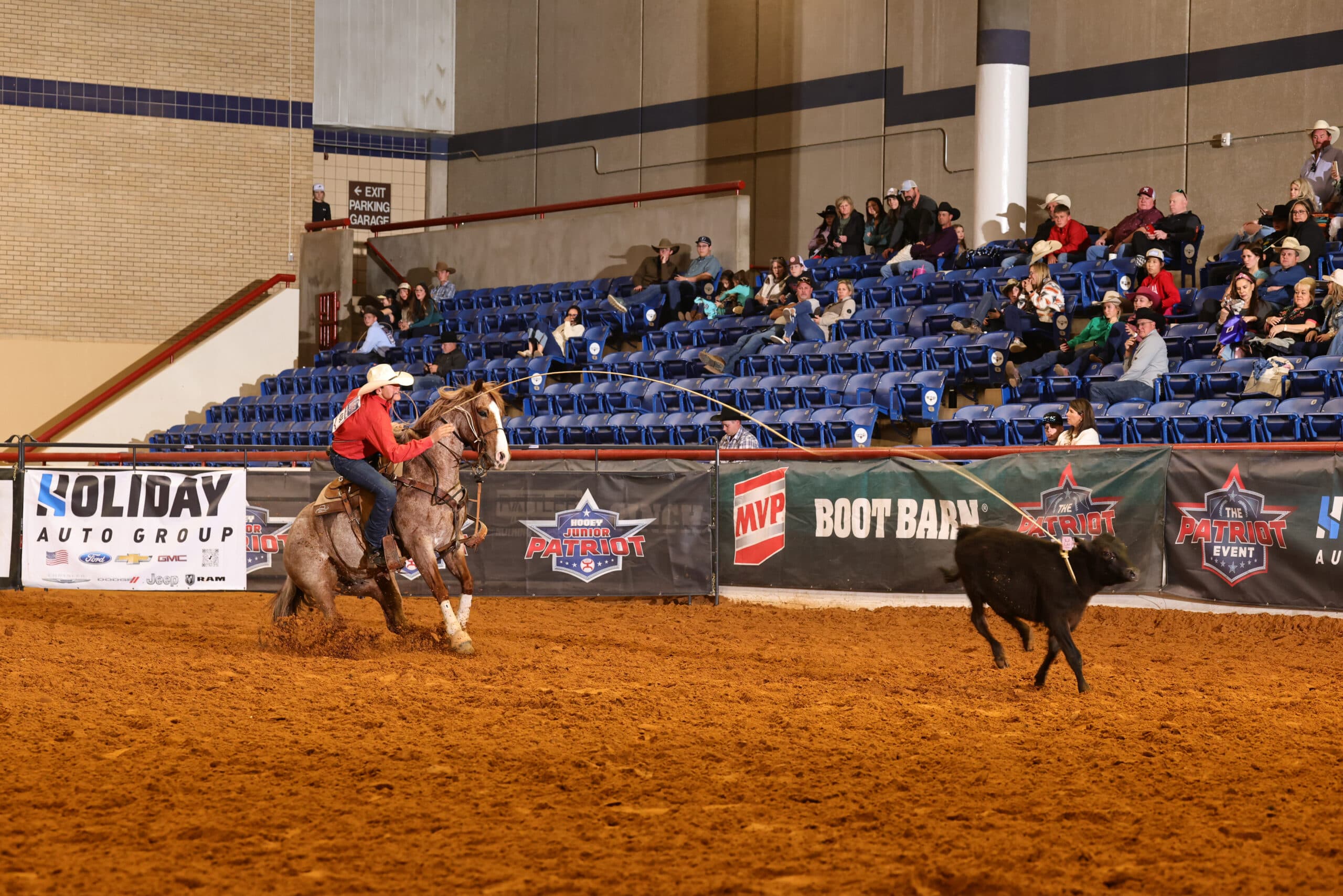 Cowboy on horseback roping a black steer during a rodeo event at an indoor arena with spectators in blue seats