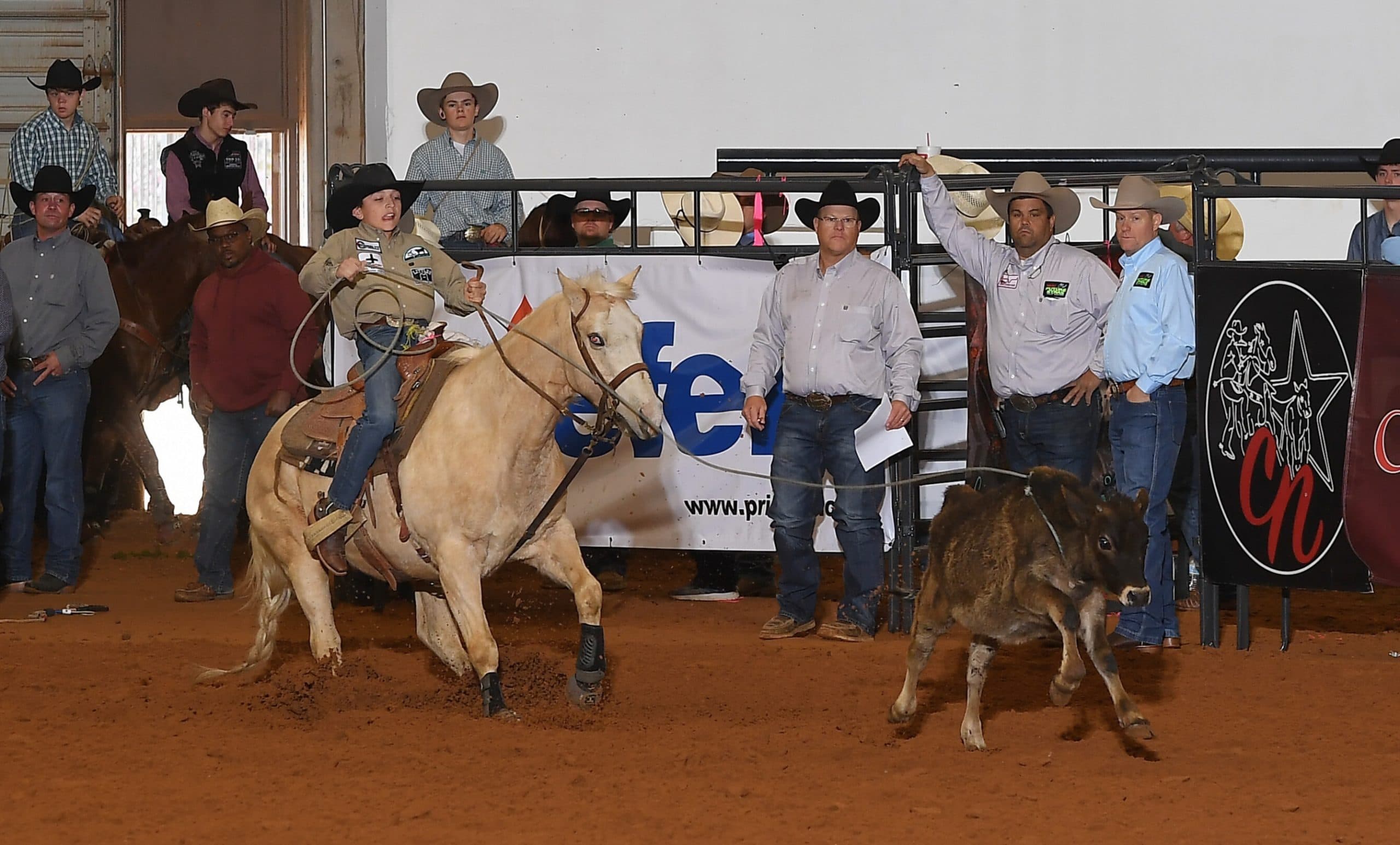 Cowboy on palomino horse roping steer during ranch sorting competition with spectators and judges watching from arena sideline