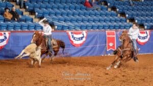 Rodeo competitor on horseback roping a steer in an arena with blue seating and patriotic bunting visible in the background