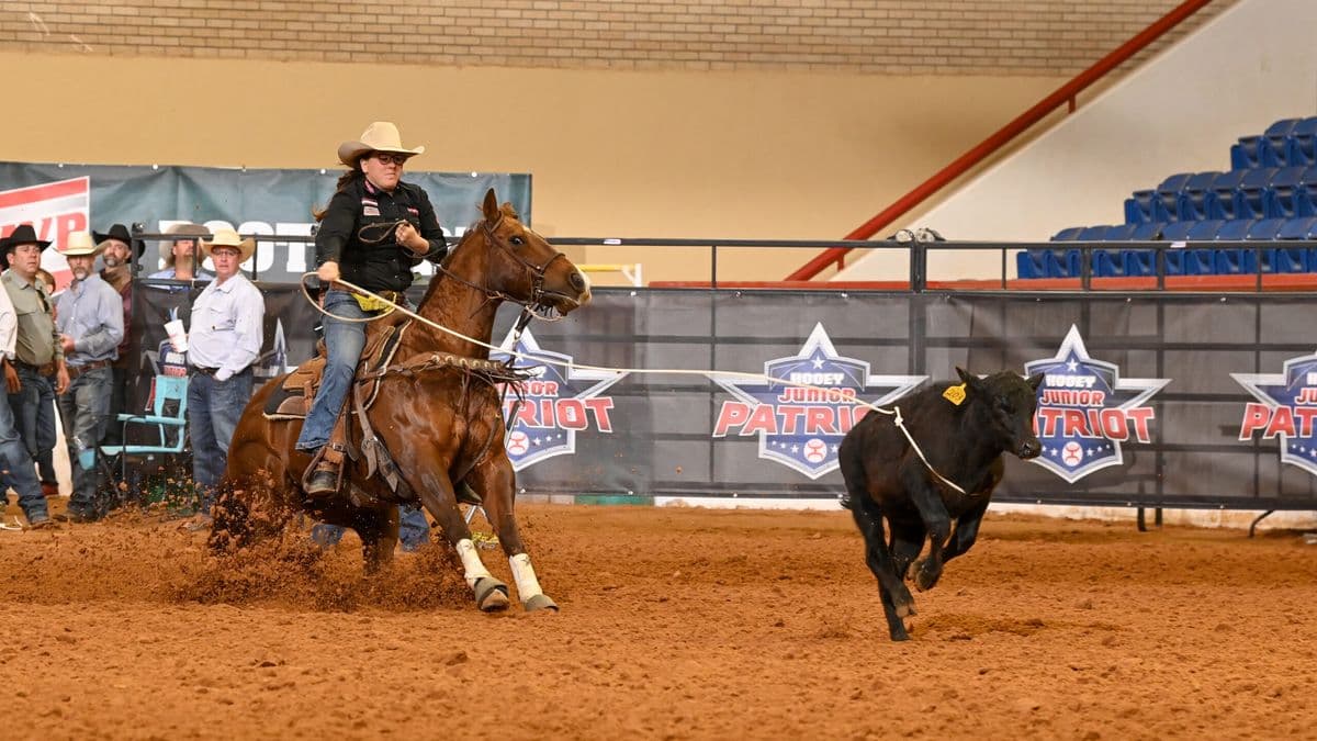Cowgirl on brown horse chases black steer across dirt arena at Junior Patriot rodeo event