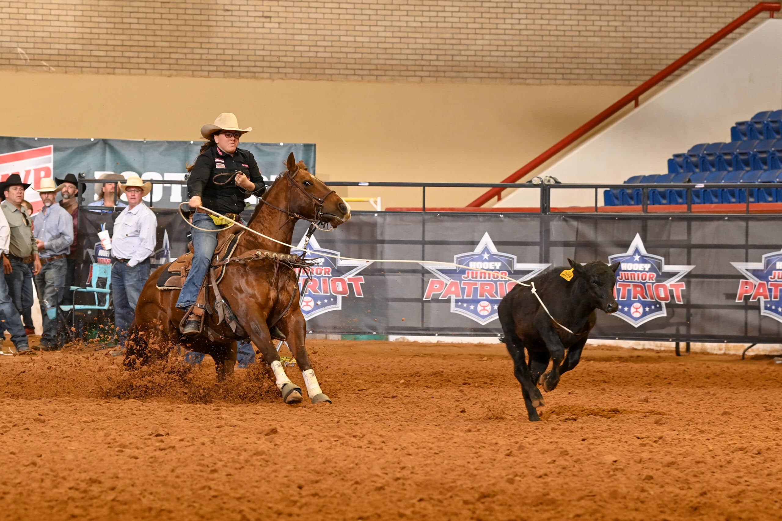 Cowgirl on brown horse chases black steer across dirt arena at Junior Patriot rodeo event