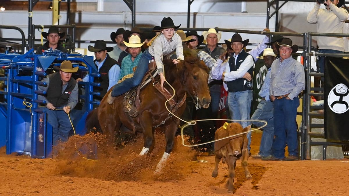 Young roper on horseback lassos a calf during indoor rodeo competition while spectators and officials watch from arena stands