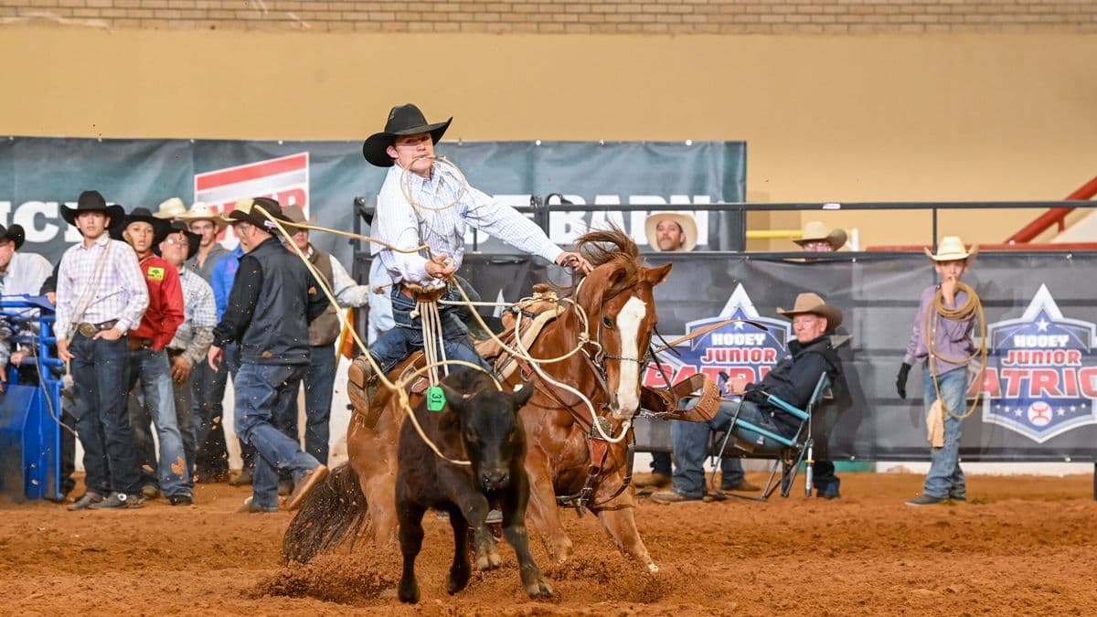 Young roper on brown horse swings lasso during junior rodeo event, with spectators and arena barrier visible in background