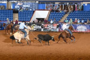 Riders on horseback separate cattle during a ranch sorting competition in a sandy arena with blue bleachers in the background