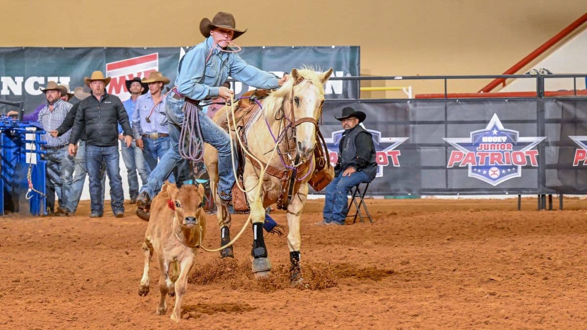 Cowboy on palomino horse ropes steer during Junior Patriot rodeo event in indoor arena with spectators and officials watching