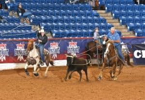 Cowboys on horseback work cattle during a ranch sorting competition in an indoor arena with blue bleachers
