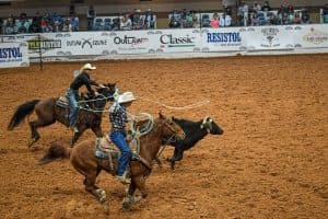 Rodeo competitor on horseback separating cattle during a ranch sorting event in an indoor arena